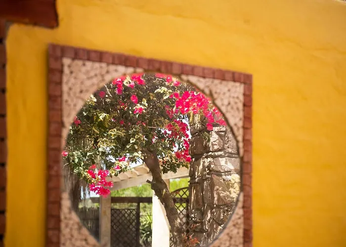 Pescettibobba A Tatil Evi *